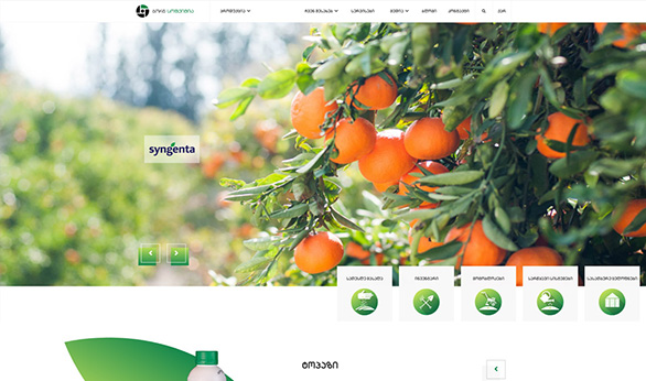 Bornagro.ge დამზადებულია Smart Web-ის მიერ